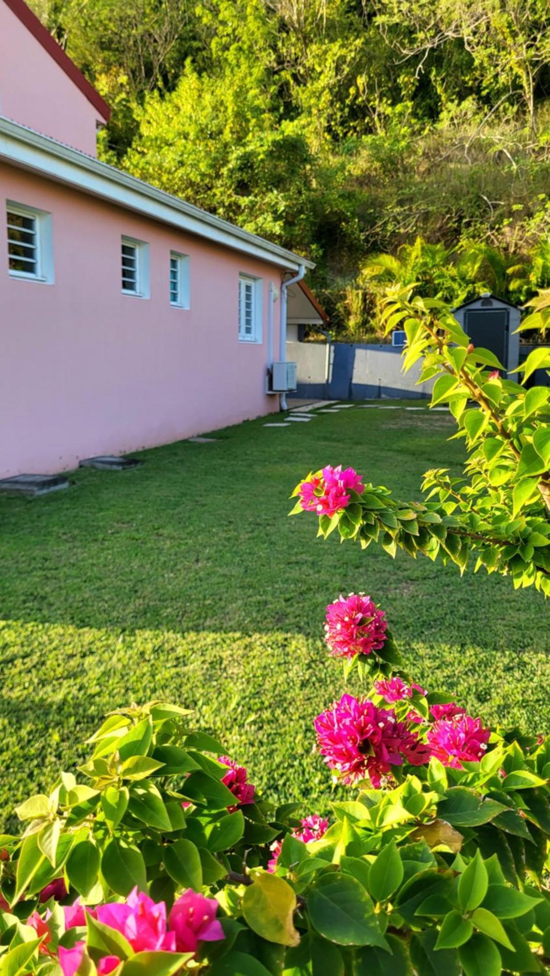 Maison Indep, Spa, Mer, Jardin, Bien-Etre Les Trois-Ilets Eksteriør billede